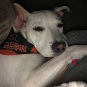 Meet your Posher, Stacy